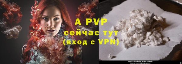 прущие грибы Пролетарск
