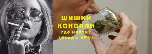 прущие грибы Пролетарск