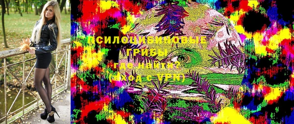 шишки Протвино