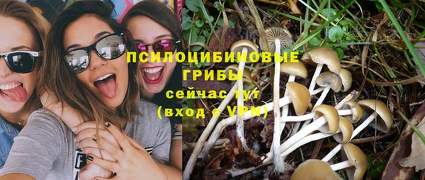 шишки Протвино