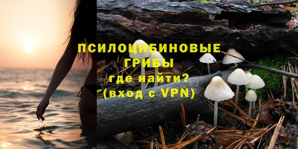 прущие грибы Пролетарск