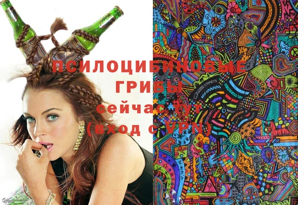 шишки Протвино