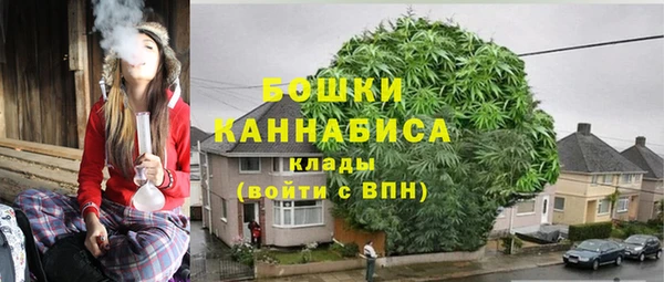 шишки Протвино