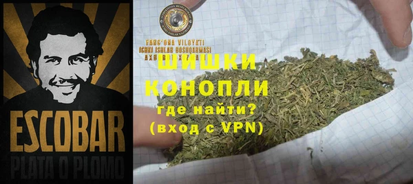 прущие грибы Пролетарск