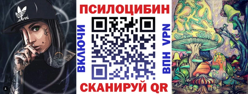 наркошоп  Аткарск  Галлюциногенные грибы Psilocybe 